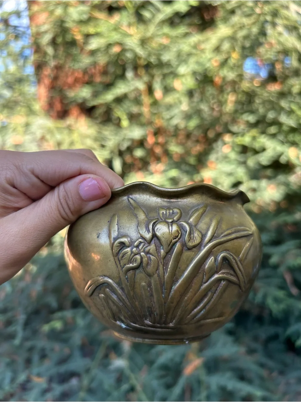 vintage antique bronze jardinière or planter features a charming scalloped rim